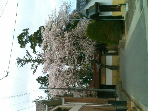 app_lvPyd1_201604031153.jpg