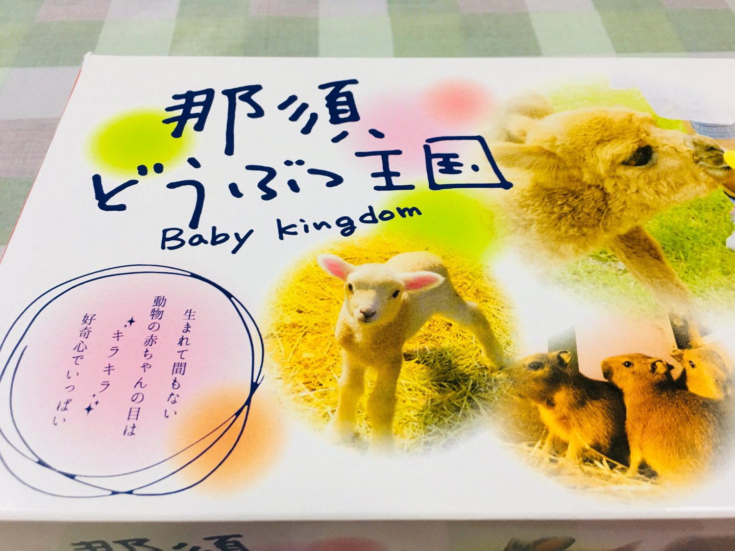 ECCジュニア丸子教室 | 福島市・英会話・習い事・スクール