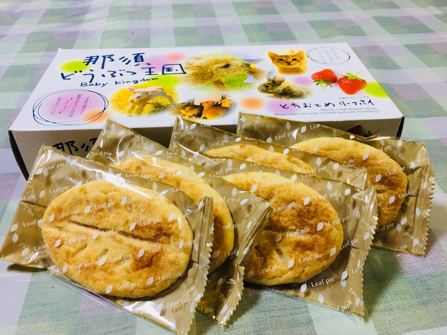 ECCジュニア丸子教室 | 福島市・英会話・習い事・スクール