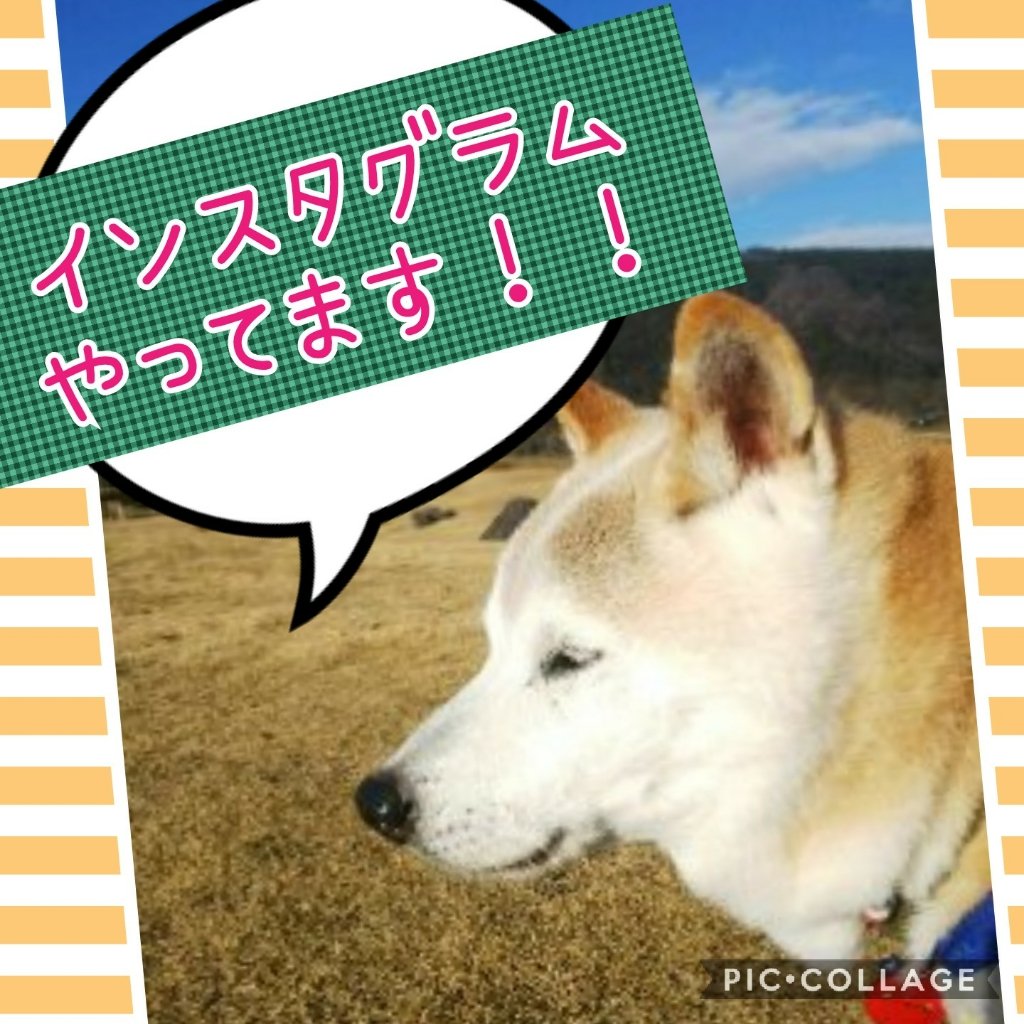 /common/image2.php?1=1&w=960&t=1&f=http%3A%2F%2Fwww%2Egurutto%2Dfukushima%2Ecom%2Fdb%5Fimg%2Fcl%5Fimg%2F869%2Fnews%2Fimages%2Fapp%5F2JqvyC%5F201811202351%2Ejpg
