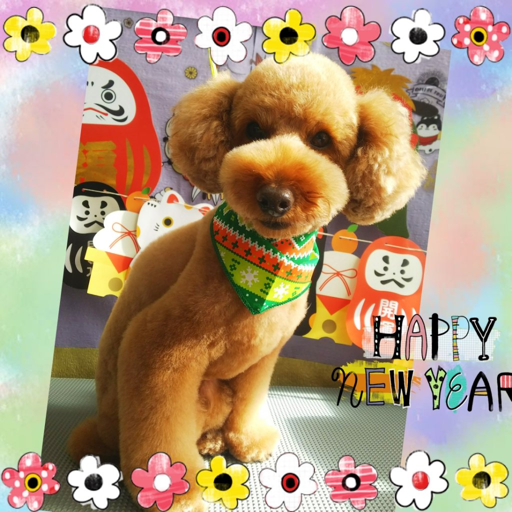 福島市の可愛いペット大集合! | I♥PETs(アイラブペット)