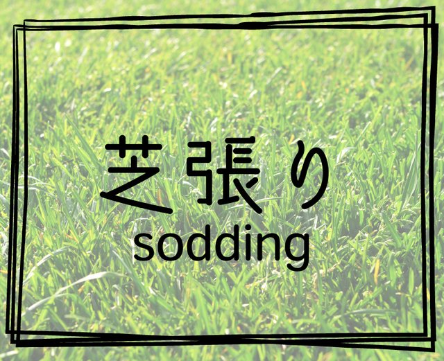 芝張り