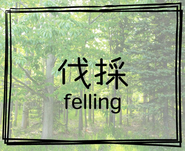 伐採