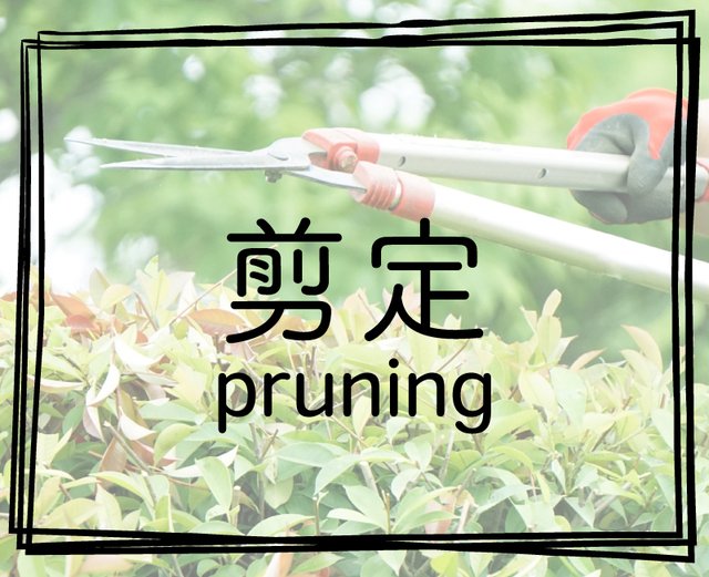 剪定