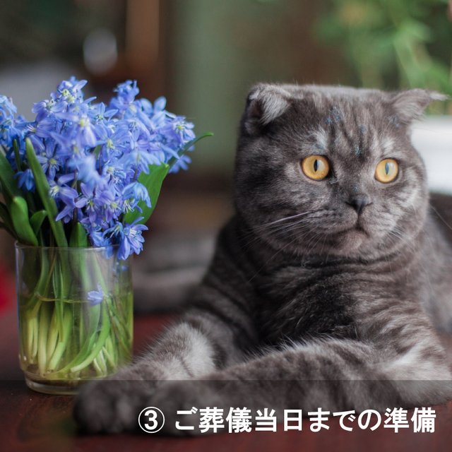 ③ご葬儀当日までの準備