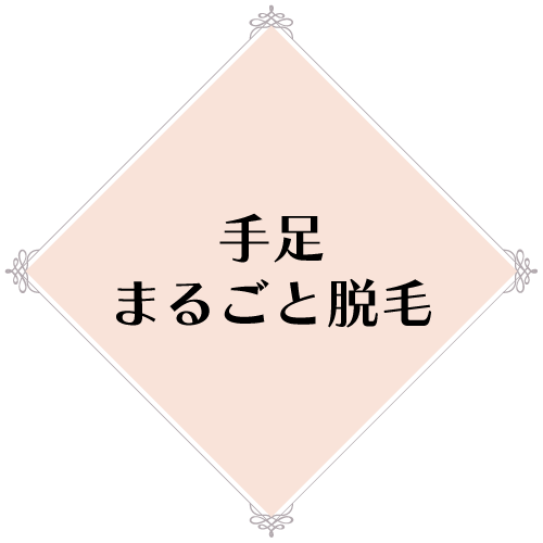 手足まるごと脱毛