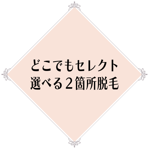 どこでもセレクト選べる2箇所脱毛