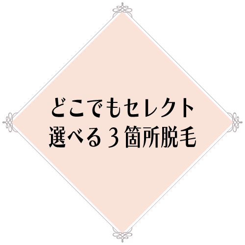 どこでもセレクト選べる3箇所脱毛