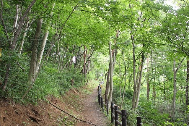 気持ちのいい道中