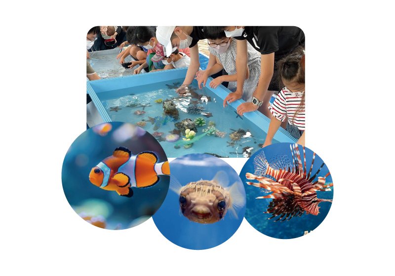 タッチプール＆ミニ水族館