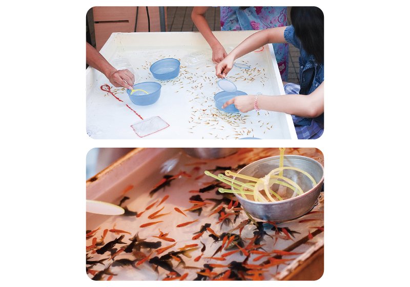 おもしろアクアランド