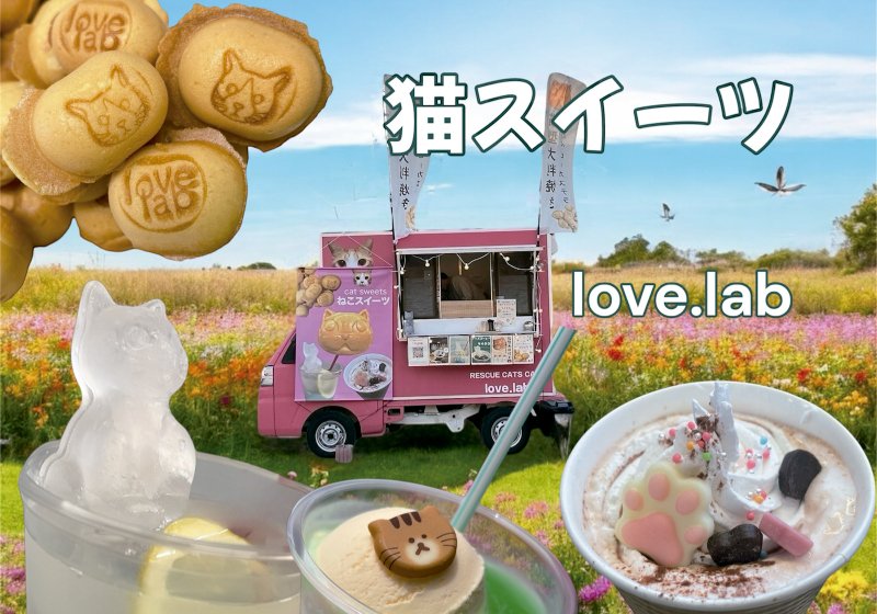 特定非営利活動法人 保護猫カフェlove.lab