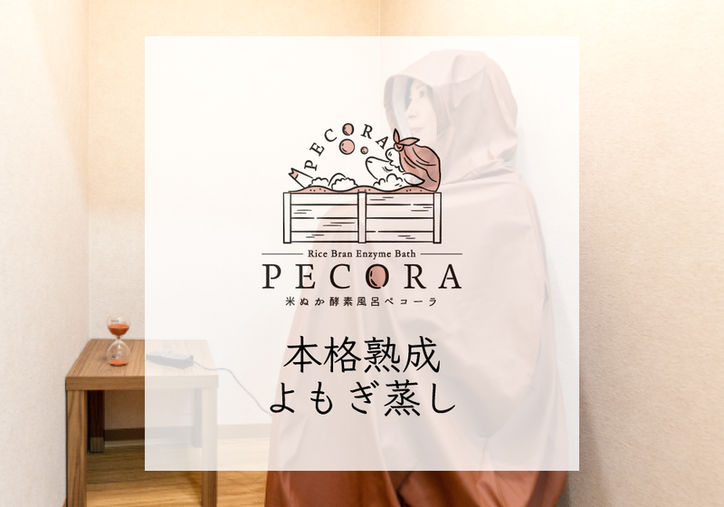 本格熟成よもぎ蒸し