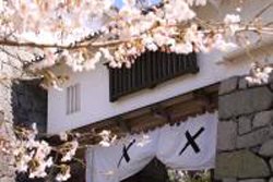 二本松市・霞ヶ城