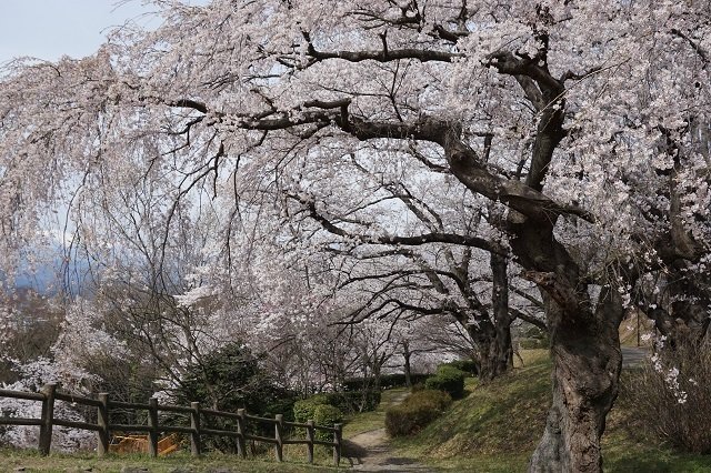 福島市・弁天山
