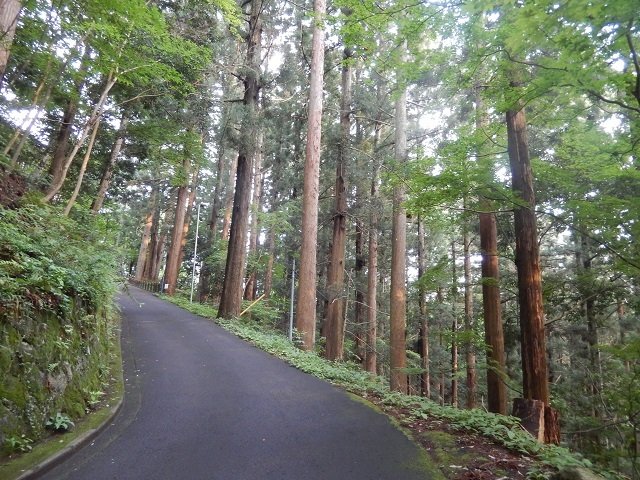 登山道もあり、登山祈願で訪れる人も多い
