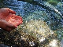 純粋に旅行を楽しむひとり旅を応援します♪30品目のおもてなし［1泊2食］