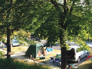 キャンプ場宿泊