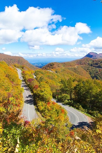 スカイラインその1