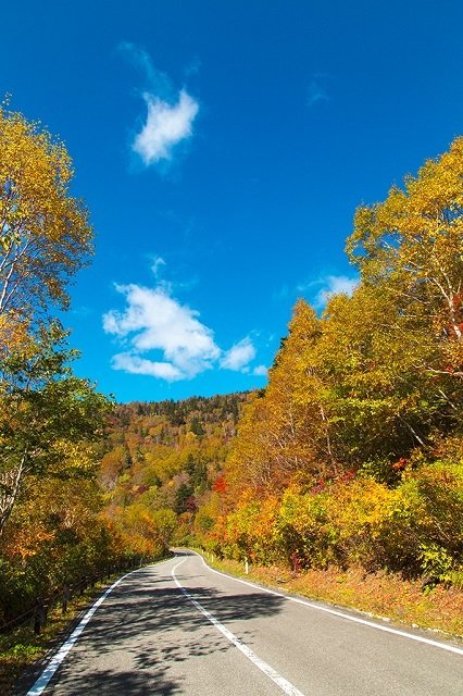 スカイラインその4