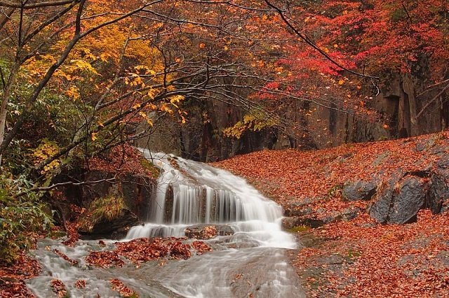 奥岳・あだたら渓谷自然遊歩道紅葉