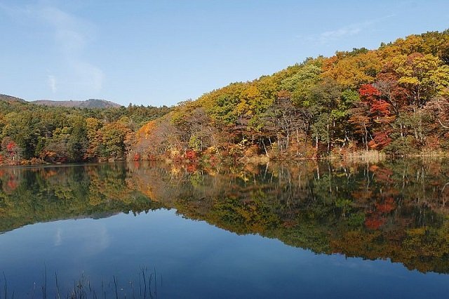 男沼紅葉