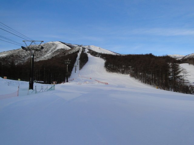 充実したコース設定