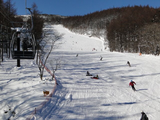 4つのリフトが皆さまを雪山へとお届け！