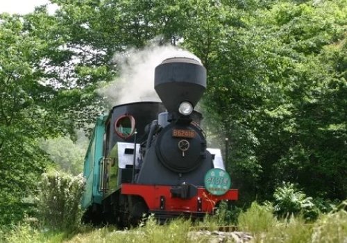やながわ希望の森公園