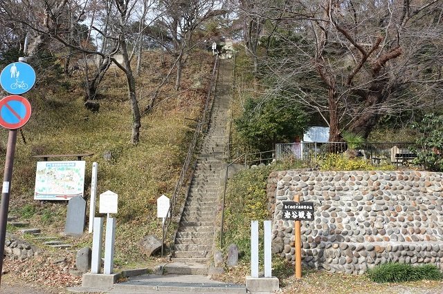 アクセスのご案内