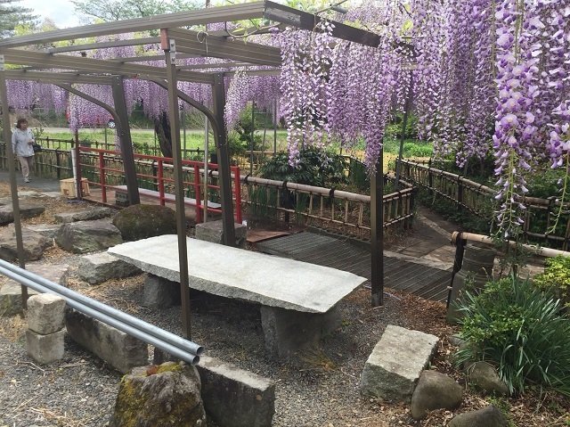 途中に休憩スペースもあり、ゆっくりと楽しむことができます。