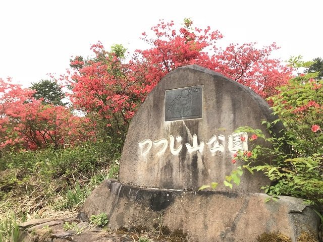 女沼駐車場の目の前の小高い丘につつじ山公園があります。