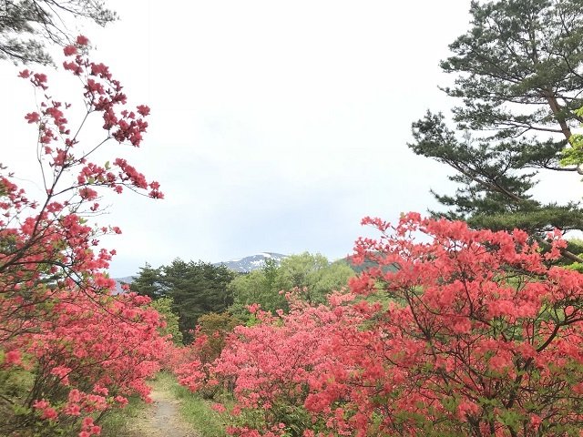 つつじに囲まれた公園からは360度のマウンテンビュー。奥には吾妻山も。