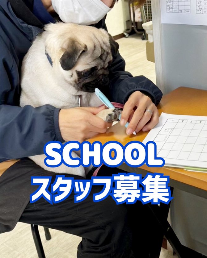 毎日ワンちゃんに触れるお仕事