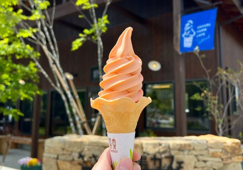 ささき牧場カフェ
