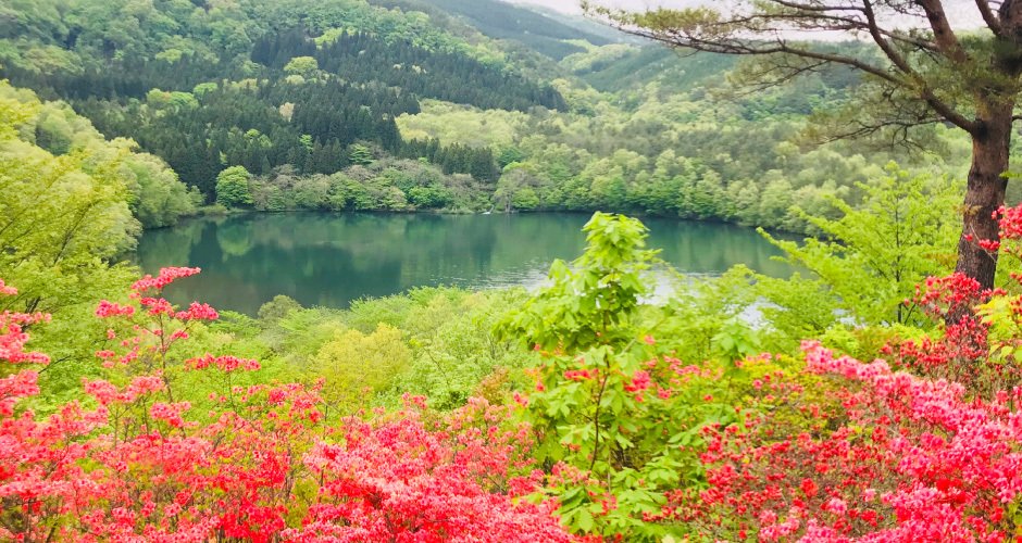 つつじ山公園
