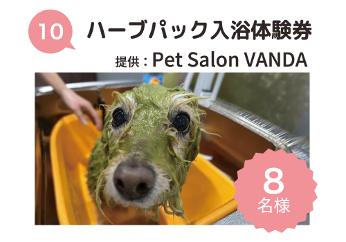 Pet Salon Vanda (ペットサロン バンダ)