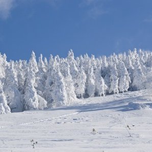 福島のスキー場 箕輪スキー場 福島県北最大級ポータル ぐるっと福島