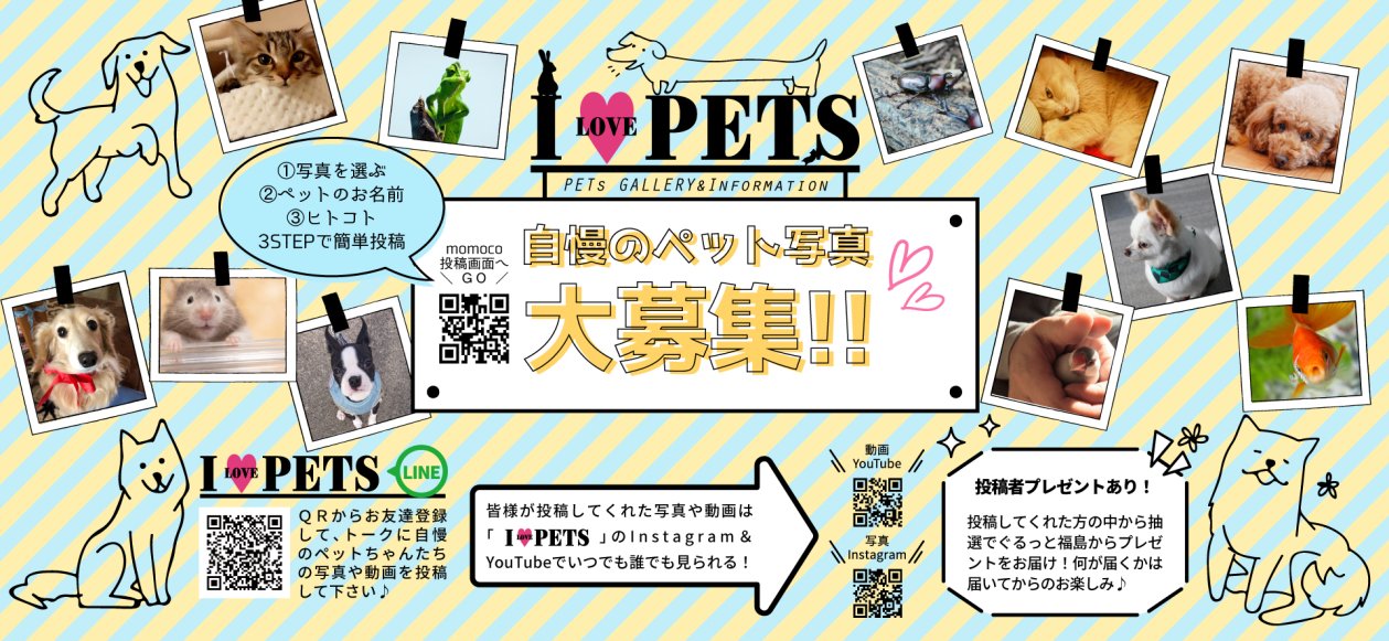 ペット特集 │ 福島市・トリミング・サロン・グッズ・伊達市