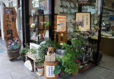 うつわの岡崎 | 街コス