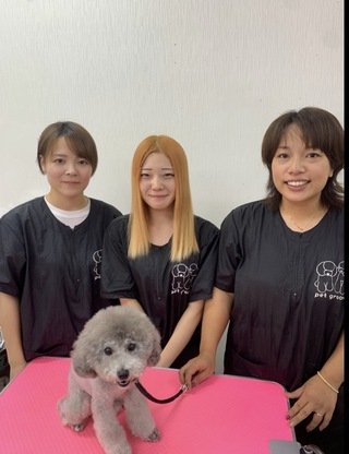 スタッフ紹介