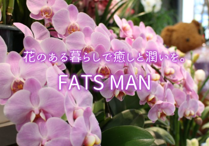 福島市のフラワー Fats Man ファッツマン 福島市 花屋 贈り物 花甚