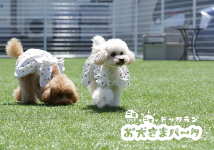 お犬さまパーク｜ドッグラン＆カフェ お犬さまパーク 