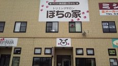 福島市・ペット・サロン・トリミング | ぽちの家