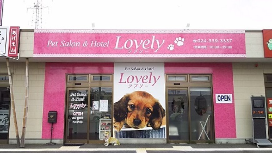 福島市のトリミング 福島市 ペット サロン トリミング ペットサロン ホテルlovely 閉店 福島県北最大級ポータル ぐるっと福島