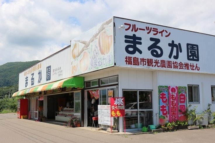 福島市のお土産 福島市のくだもの まるか園 福島市 果物狩り 果樹園 お土産 福島県北最大級ポータル ぐるっと福島