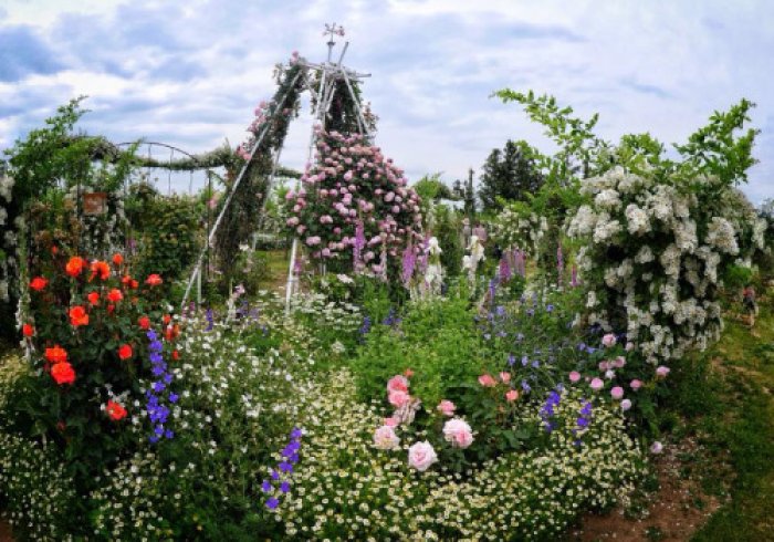 福島市の自然 佐藤梨園のローズガーデン Rose Garden Of The Sato Pear Orchard 福島市 バラ園