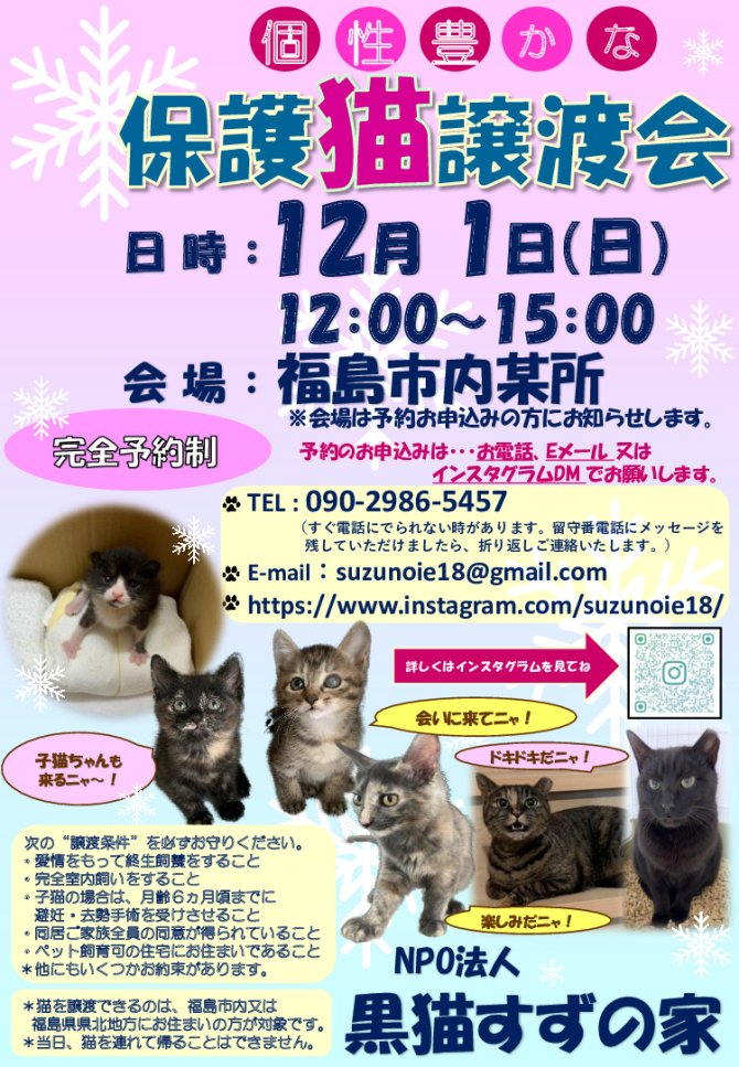 個性豊かな保護猫譲渡会