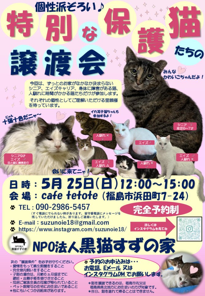 特別な保護猫たちの譲渡会