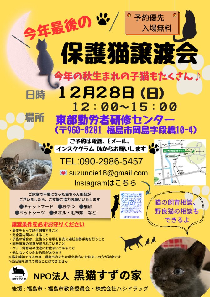 今年最後の保護猫譲渡会